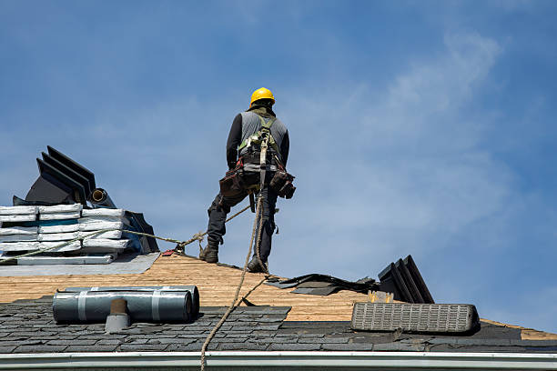 Professional Roofing technician working in Lester, IA